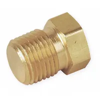 PARKER Plug: Solid Plug, Bright C36000 Brass, 1/8 in, NPT Threaded, 5,600 psi, 9/16 in Lg (MPN 2 PH-B)