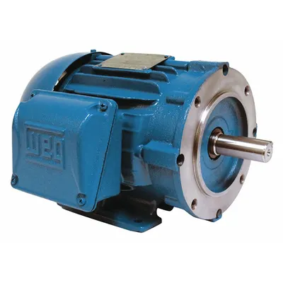 WEG 01536ET3E215TC-W22 Rigid Base 3-Phase AC Motor - Rigid Base 3-Phase General Purpose AC Motors