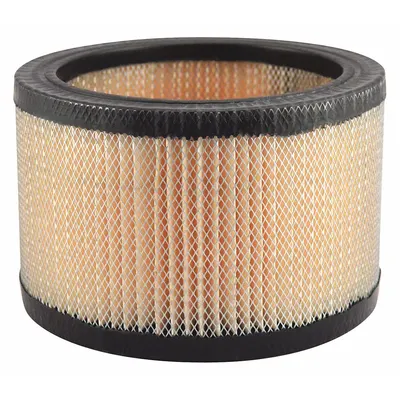 BALDWIN FILTERS Round/Oval Engine Air Filter PA652 - Round/Oval Engine Air Filters