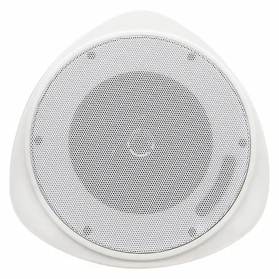 SPECO TECHNOLOGIES Speaker: Powered, 2-Way, 8 ohm Impedance, 11 1/4 in Overall Wd - Pendant-Mount Speakers