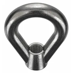 Steel eye nut with black oxide finish, oval shape, 2-1/4 in inside diameter, 4 in outside diameter, and 5 in height. Used as a lifting or attachment point for rigging, hoisting, and load securement in industrial applications.