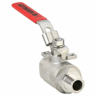 KECKLEY Manual Two-Way Ball Valve: 3/4 in, Stainless Steel, Straight, MNPT x FNPT - Stainless Steel Ball Valves