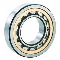 FAG BEARINGS Cylindrical Roller Bearing: 305, 25 mm Bore, 62 mm OD, 17 mm Overall Wd, Cylindrical (MPN NU305-E-XL-M1-C3)