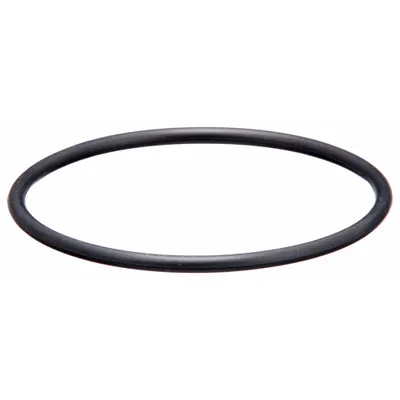 SPEEDAIRE O-Ring: Mfr Part # 114X69 - Compressed Air Treatment Replacement Parts