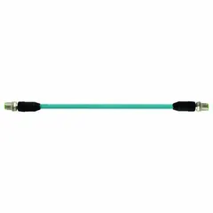 M12 connector cordset with D-coded male straight connectors on both ends. Features a blue TPE cable jacket, 10-meter length, and IP67 rating. Supports Cat5 performance for data transmission up to 100 MHz. Suitable for industrial Ethernet connections in automation and machine networking.