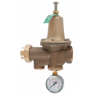 Watts 1-1/2 in Standard Capacity Water Pressure Regulator - Standard Capacity Water Pressure Regulators