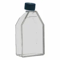 This sterile polystyrene cell culture flask has a 55 mL (1.86 fl oz) capacity and is graduated for volume measurement. It includes a closure to maintain sterility. Used for growing and maintaining adherent cell lines in laboratory research