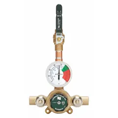 Thermostatic mixing valve for point-of-source installation, blending hot and cold water to a set outlet temperature. Includes check-stops. Outlet connection size is 3/4 in. Suitable for commercial and industrial applications such as showers, sinks, and process water systems.