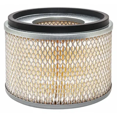 BALDWIN FILTERS PA2575 Round/Oval Engine Air Filter - Round/Oval Engine Air Filters