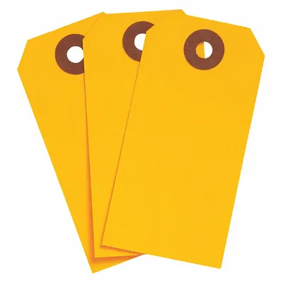 BRADY Shipping Tag: #3, 3 3/4 in Tag Ht, 1 7/8 in Tag Wd, 30 Points, Fluorescent Orange - Colored Shipping Tags