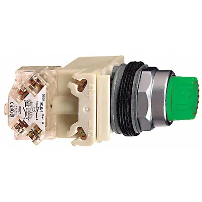 SCHNEIDER Illuminated Push Button: Illuminated, Extended Profile, Metallic, 30 mm - Illuminated Extended-Length Push Buttons
