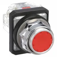 DAYTON Flush Push Button Operator: Non-Illuminated, Flush Profile, Metallic, 30 mm, 1NO/1NC