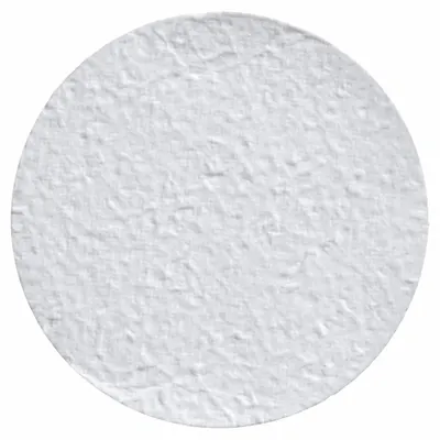 CYTIVA WHATMAN 934-AH RTU Grade Glass Microfiber Filter, 4.7 cm, 1.5 µm - 934-AH RTU Grade Glass Microfiber Filters