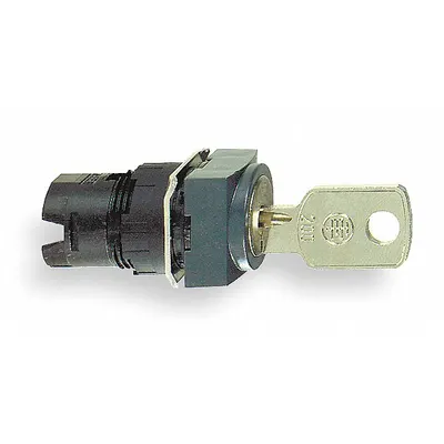 SCHNEIDER Keyed Selector Switch: 2 Position, 16 mm Panel Mounting Size - Panel-Mounted Key Switches without Contacts