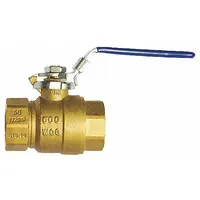 Two-piece straight ball valve with 2-1/2 inch FNPT connections. Brass body with locking lever handle for manual on/off flow control. Suitable for water, oil, and gas service in industrial piping systems