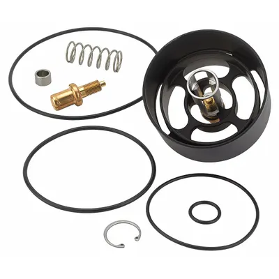 LEONARD VALVE KIT R/XL150 Valve Repair Kit for XL-150-LF-BDT Mixing Valve - Repair Kits & Replacement Parts for Mixing Valve