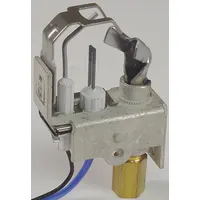 DAYTON Pilot Burner: Mfr Part # 1VLD5