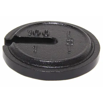 RICE LAKE WEIGHING SYSTEMS Class 7 Slotted Calibration Weight, 1 lb, Cast Iron - Class 7 Calibration Weights