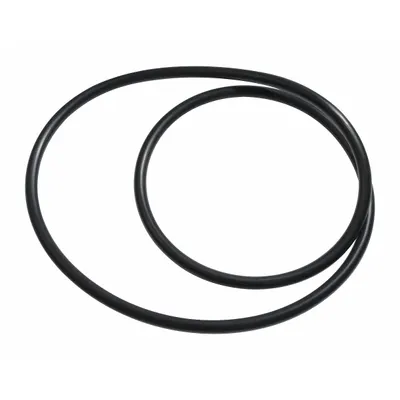 Dayton Convertible O-Ring PP21102180001G - Gaskets