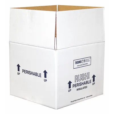 POLAR TECH Insulated Shipping Container: 9 1/2 in x 9 1/2 in x 7 in, 1.25 in Insert Wall Thick - Insulated Box & Foam Shipping Kits