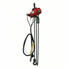 Hook-mounted air hoist with swivel hook and safety latch. Lifting capacity 1,000 lb, lift length 15 ft. NPT connections. For overhead lifting tasks in industrial settings using compressed air.
