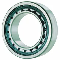 FAG BEARINGS Cylindrical Roller Bearing: 2211, 55 mm Bore, 100 mm OD, 25 mm Overall Wd, Cylindrical (MPN NU2211-E-XL-TVP2)
