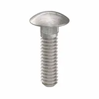 Carriage Bolt: Square Neck, 1/4"-20 Thread Size, 1 in lg, Stainless Steel, 316, Plain, 10 PK (MPN ZBOLT-4977)