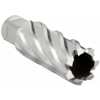 SLUGGER BY FEIN Annular Cutter: 1 1/16 in Cutter Dia, 2 in Max Cutting Dp, Bright, High Speed Steel (MPN 63134269124)
