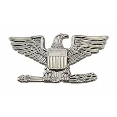 Silver metal insignia featuring an eagle design. Measures 1 inch. Attaches with a pin and safety catch. Suitable for displaying rank on military or ceremonial uniforms.