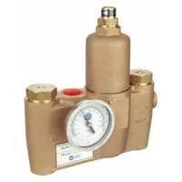 BRADLEY Mixing Valve: For Water Media, Bronze, NPT x NPT, 3/4 in Inlet Connection Size, NPT, Female (MPN S19-2100)