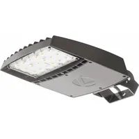 Street & Parking Lot Lights: LED, Pole Mount, 14,397 lm, 4000K, 109 W, 120 to 277V AC, Type V (MPN RSX1 LED P3 40K R5 MVOLT SPA DDBXD)