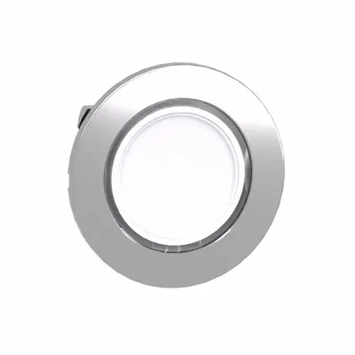 SCHNEIDER Flush Push Button: 30 mm Mounting Size, Metallic - Illuminated Flush-Mount Push-Button Operators