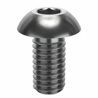 Socket Head Cap Screw: #10-32 Thread Size, 3/8 in Lg, Button, NL-19, Stainless Steel, 18-8, 100 PK (MPN FBFTBHSCAPS103238P100)
