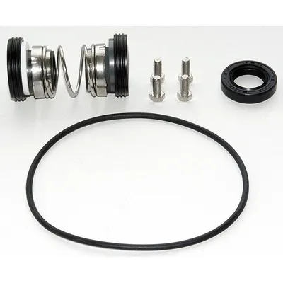 Dayton Pump Repair Kit, PPHP51000222G - Seal Kits for Dewatering & Wastewater Pumps
