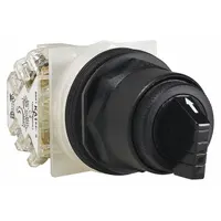 SCHNEIDER Selector Switch: 30 mm Panel Mounting Size, 3 Positions, Short Lever, DPDT, Non-Metallic (MPN 9001SKS43FBH2)