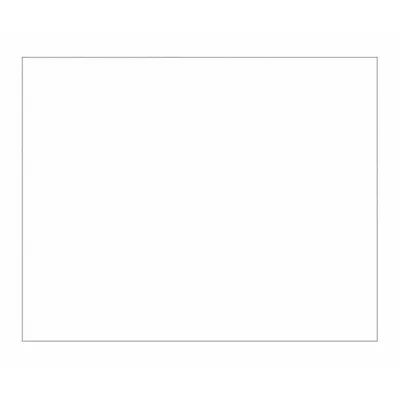 TAPE LOGIC Block Out Label,8x10",White: 250 PK (MPN DL1385W) - Blockout Laser Labels
