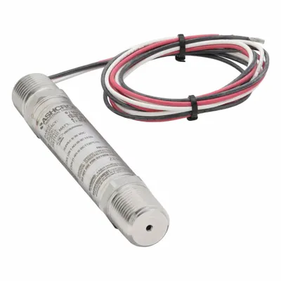 ASHCROFT Pressure Transmitter - Explosion-Proof with Conduit Connection & Wire Leads