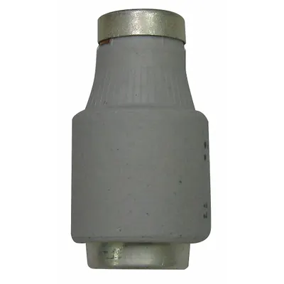 BUSSMANN IEC Fuse: Time Delay, 16 A, 500 V AC - IEC Type D Fuses