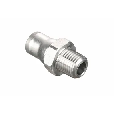 LEGRIS 3805 10 13 Stainless Steel BSPT x Push-to-Connect Tube Fitting - Stainless Steel Tube Fittings