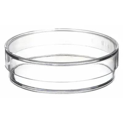 OEM Petri Dish: 150 mm Dia, 15 mm Overall Ht, No Surface Treatment, Lid, Polystyrene - Petri Dishes