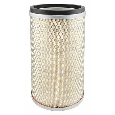 BALDWIN FILTERS Round/Oval Engine Air Filter PA2586 - Round/Oval Engine Air Filters