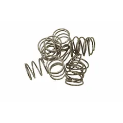Stainless steel orifice plate spring for wash fountains. Used to secure the orifice plate and maintain proper water flow control. Sold in a pack of 10.