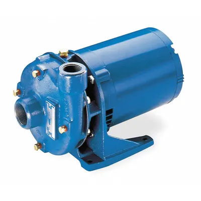 GOULDS WATER TECHNOLOGY Centrifugal Pump: 1 1/2 hp, 115/230V AC, 118 ft Max Head, 1 1/4 in - 1 to 1-1/2 HP Straight Centrifugal Pumps
