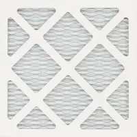Air Filter: 700 cfm Airflow - Max, Air Filter, 13 in Nominal Ht, 13 in Nominal Wd, 5/8 in Nominal Dp (MPN PF13)