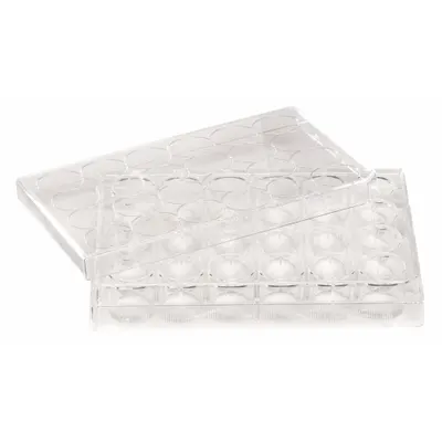 CELLTREAT Well Plate: Sterile, 24 Wells, 1.5 mL, RNase/DNase Free - Cell Culture Plates