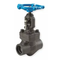 SHARPE Globe Valve: For Steam Media, Carbon Steel, Z-Body, 2 in Pipe Size, Socket x Socket, Female (MPN 4371006260)