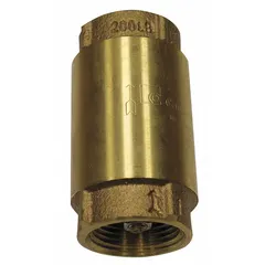 Inline check valve with lead-free brass body and spring-loaded poppet. 1 1/4 in pipe size, FNPT x FNPT connections with NPT threads. Allows flow in one direction only, preventing backflow in piping systems for water, air, and non-corrosive fluids.