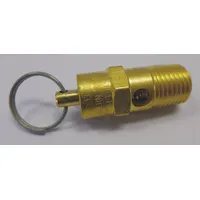 APPROVED VENDOR Pressure Relief Valve: PN22N017G, 1NNE5