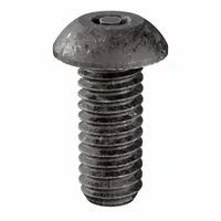 Mach Screw,Btn,1/4"-20Thread,3/4inL,PK10 (MPN 21620)
