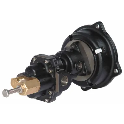 Dayton Rotary Gear Pump Head: Direct Drive, Cast Iron, 3/8" FNPT, Steel, SS - C-Face Mount Gear Pump Heads